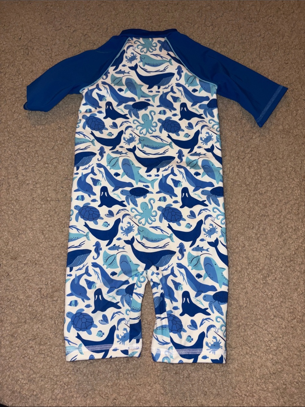 Bathing Suit - Picture 2 of 2